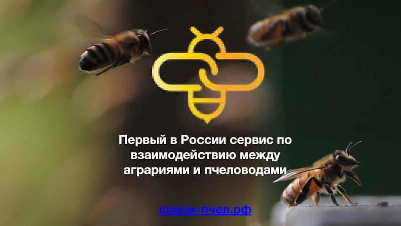 Презентация Первый в России сервис по
взаимодействию между
аграриями и