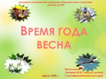 В РЕМЯ ГОДА ВЕСНА
муниципальное бюджетное дошкольное образовательное