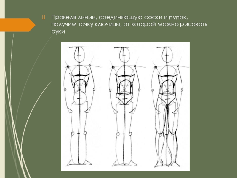 Презентация 7 класс пропорции и строение фигуры человека изо 7 класс