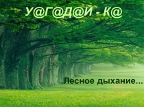 Лесное дыхание...
У @ Г @ Д @ Й - К @