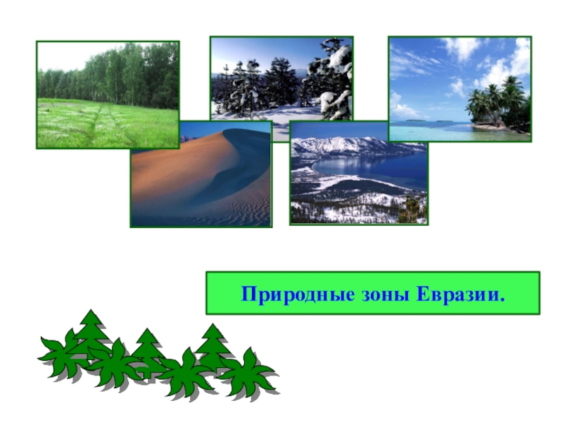 Природные зоны евразии 4 класс. Природные Евразии. Природный мир Евразии. Лесные зоны в Евразии климат.