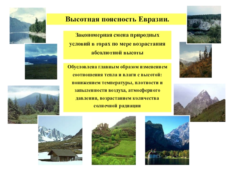 Закономерная смена природных комплексов. Высотная поясность Евразии в горах. Изменение природных условий. Растения области ВЫСОТНОЙ поясности Евразии. Высотная поясность Евразии животные.