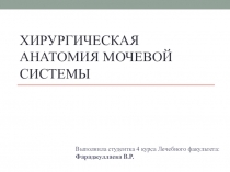 ХИРУРГИЧЕСКАЯ АНАТОМИЯ МОЧЕВОЙ СИСТЕМЫ