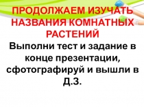 ПРОДОЛЖАЕМ ИЗУЧАТЬ НАЗВАНИЯ КОМНАТНЫХ РАСТЕНИЙ Выполни тест и задание в конце