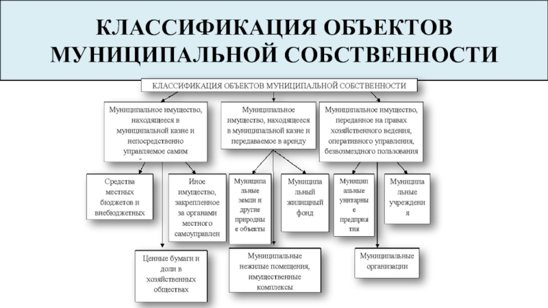 Карта муниципальной собственности