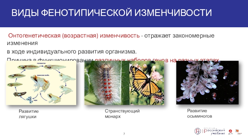 Виды мутаций презентация биология 10 класс