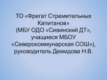 ТО Фрегат Стремительных Капитанов (МБУ ОДО  Сивинский ДТ, учащиеся МБОУ