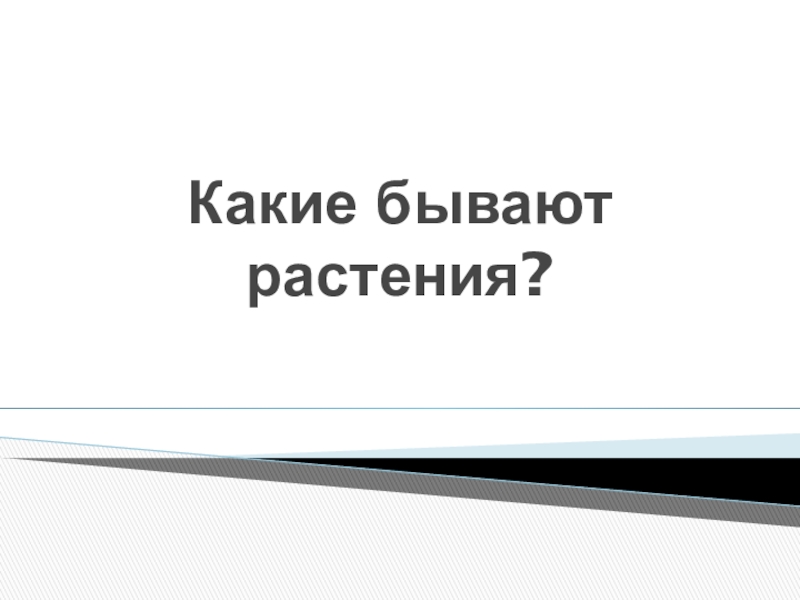 Какие бывают растения?