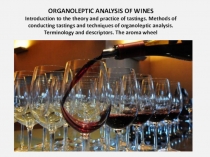 ORGANOLEPTIC ANALYSIS OF WINES
Introduction to the theory and practice of