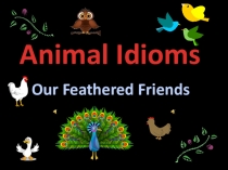 Animal Idioms
Our Feathered Friends