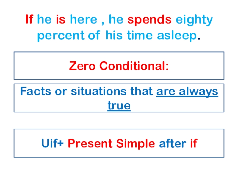 If he is here , he spends eighty percent of his time asleep.Facts or situations that are
