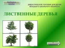 Дидактическое пособие для детей младшего школьного возраста