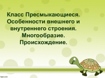 Класс Пресмыкающиеся. Особенности внешнего и внутреннего строения