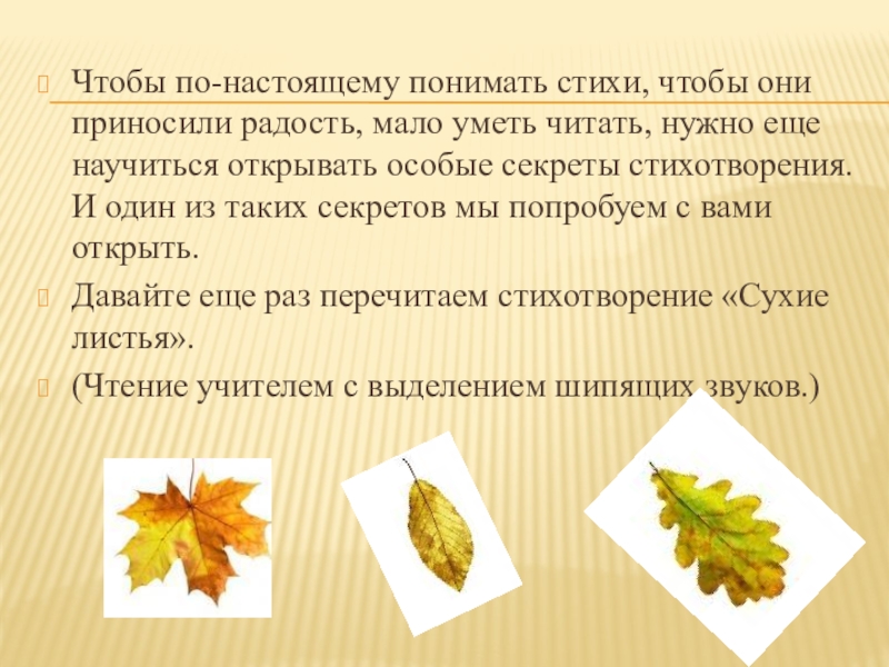 Сухие листья слов. Сухие листья стихотворение. Брюсов сухие листья. Стих сухие листья сухие листья сухие. Стихотворение листья.