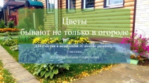 Цветы бывают не только в огороде