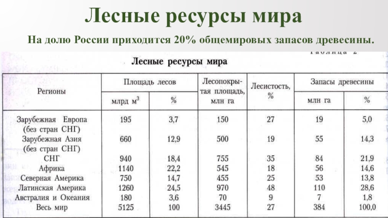 Лесные ресурсы сайт. Таблица лесных ресурсов России.