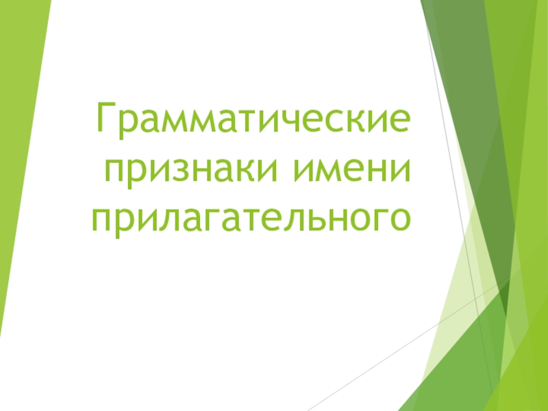 Презентация Грамматические признаки имени прилагательного