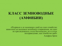 КЛАСС ЗЕМНОВОДНЫЕ (АМФИБИИ)