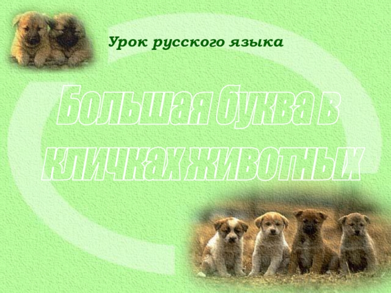 Большая буква в
кличках животных
Урок русского языка