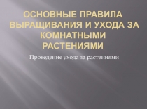 Основные правила выращивания и ухода за комнатными растениями