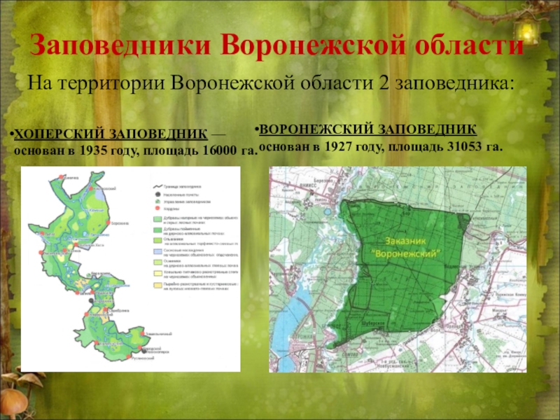 Поквартальная карта воронежского заповедника