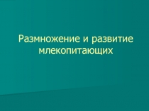 Размножение и развитие млекопитающих