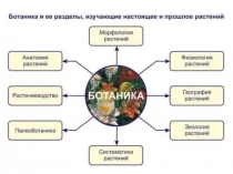 БОТАНИКА