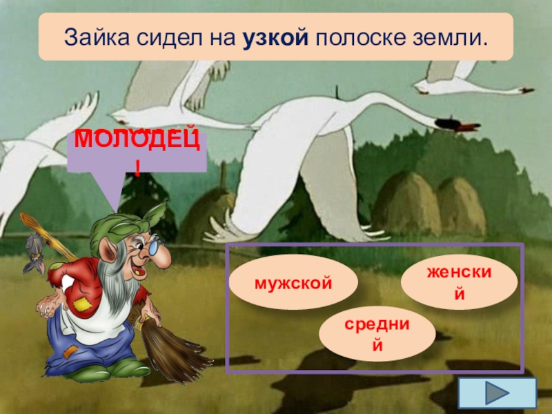 Лебедь мужского рода. Лебедь какой род. Род лебедь в русском языке. Лебедь какой род женский или мужской. Лебедь какой род существительного.
