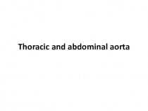 Thoracic and abdominal aorta