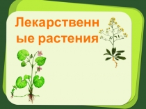 Лекарственные растения