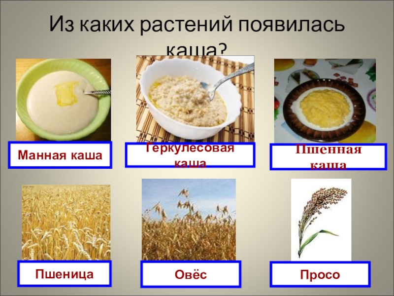 Каши для детей для роста