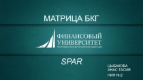 МАТРИЦА БКГ SPAR