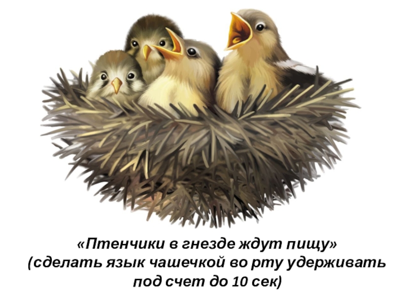 «Птенчики в гнезде ждут пищу» (сделать язык чашечкой во рту удерживать под счет до 10 сек)