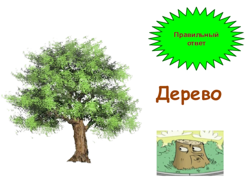 Answer tree. Объекты дерево на слайде.