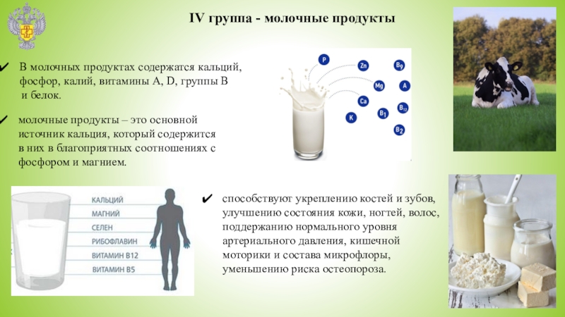 Молочный гр. Группы молочных продуктов. Молочные группы товаров. Молочная группа. Характеристика группы цельномолочных продуктов.