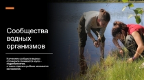 Сообщества водных организмов