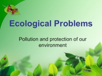 Ecological Problems