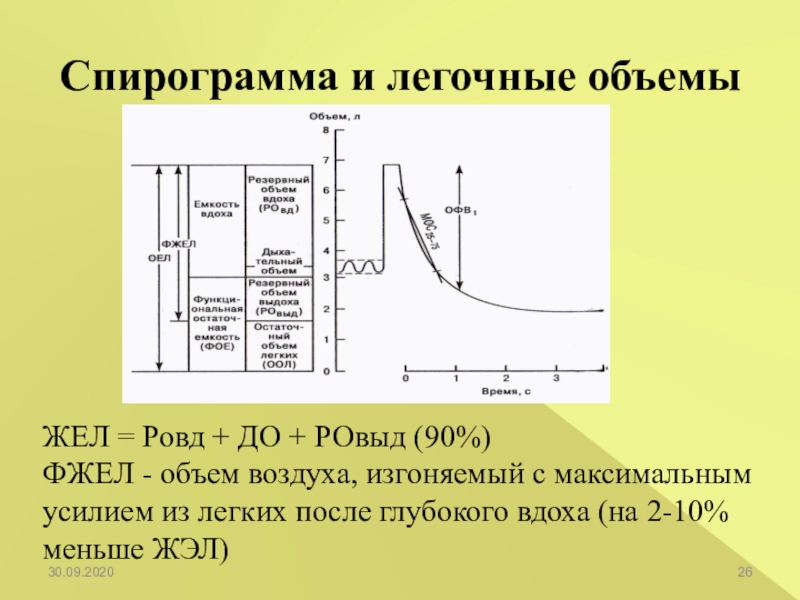 1 нарисовать спирограмму