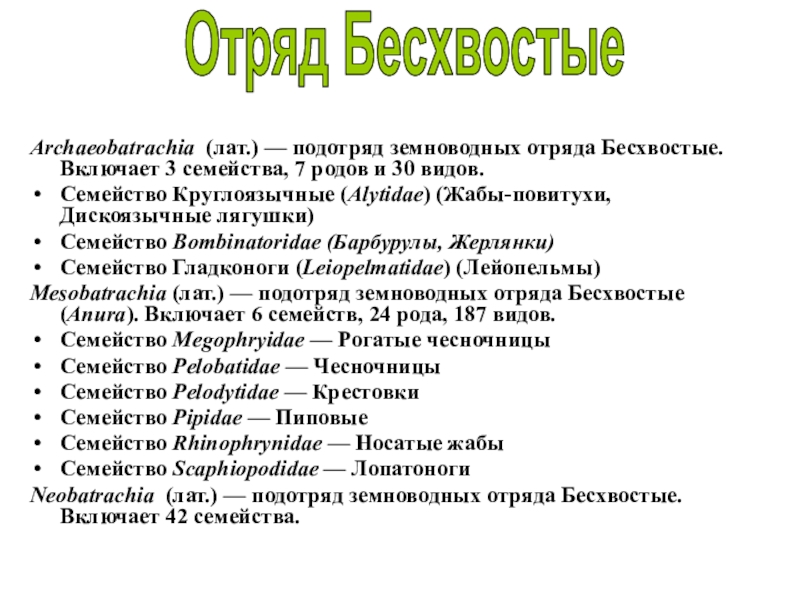 Подотряд. Отряд подотряд семейство род вид. Семейство Гладконогие. Семейство Alytidae примеры. Что входит в подотряд человека.