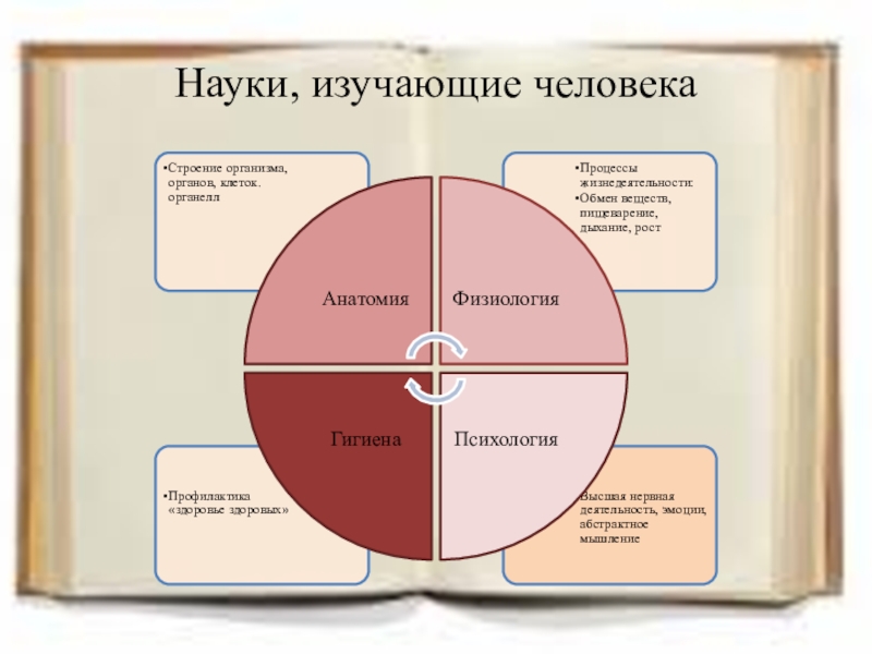 Наука изучающая цвета. Наука изучающая работу органов человека. Внутреннее строение организмов изучает наука. Человек изучает. Науки изучающие деньги.