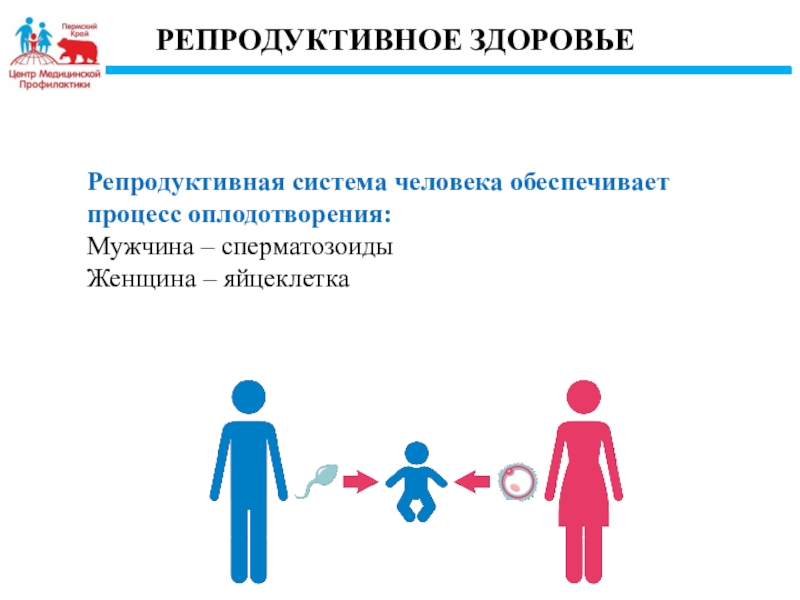 Репродуктивное здоровье человека презентация