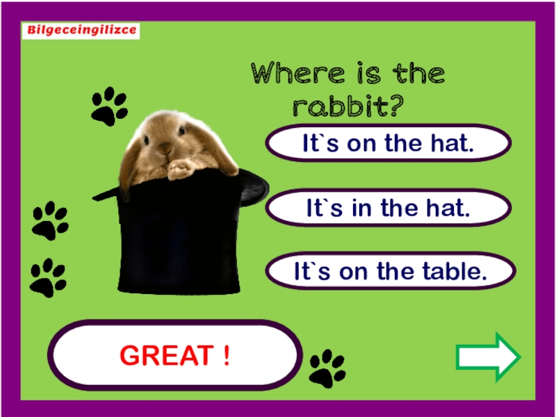 Where is hat. Where Pets. My Pets вопросы. Pets presentation for Kids. Pets ESL.