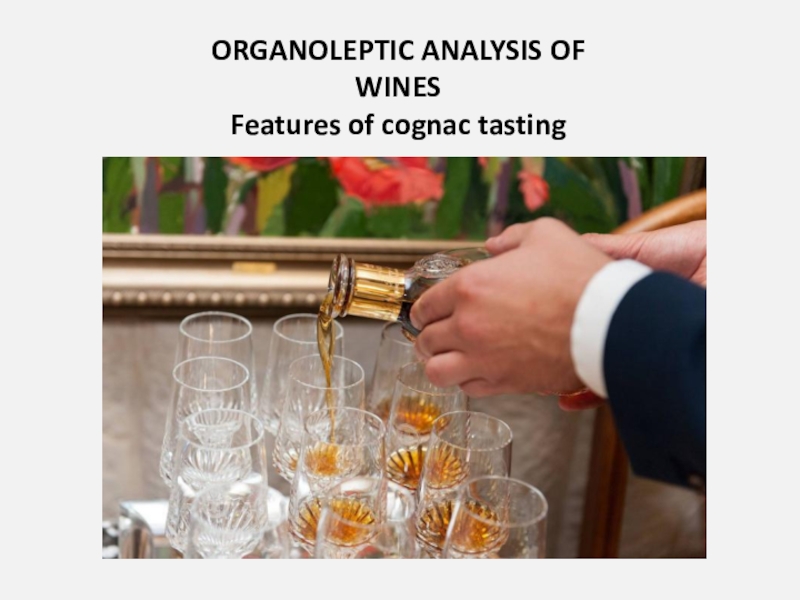 ORGANOLEPTIC ANALYSIS OF WINES
Features of cognac tasting