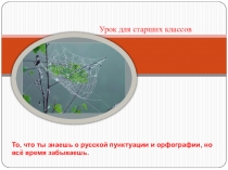 То, что ты знаешь о русской пунктуации и орфографии, но всё время забываешь