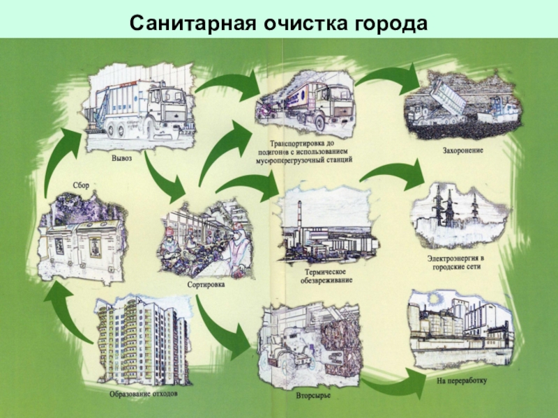 Схема санитарной очистки территории