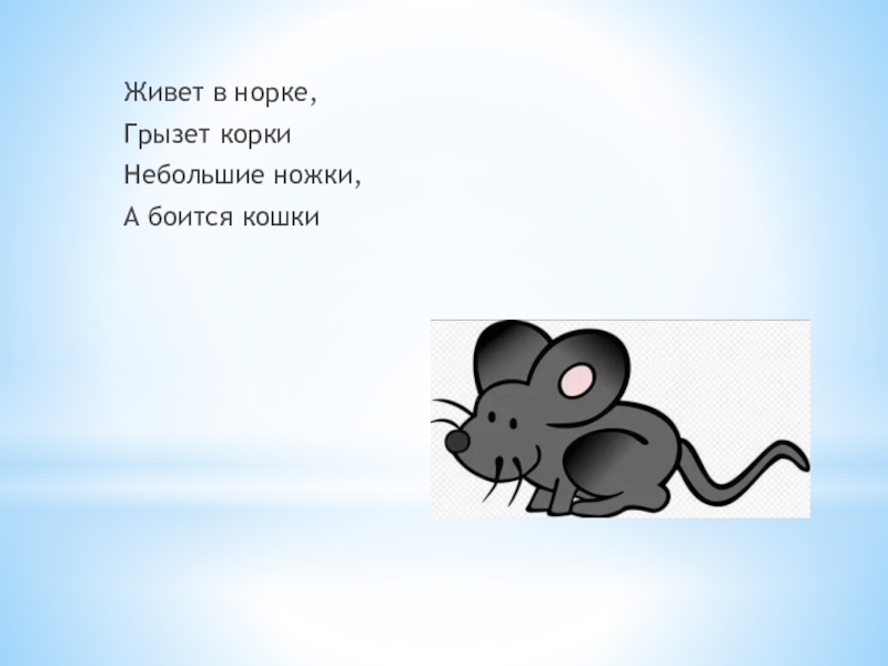 Скороговорки мыши. Мышка тащит корку в норку. Скороговорка мышка в норку. Живет в норке грызет корки. Тащит мышонок в норку.