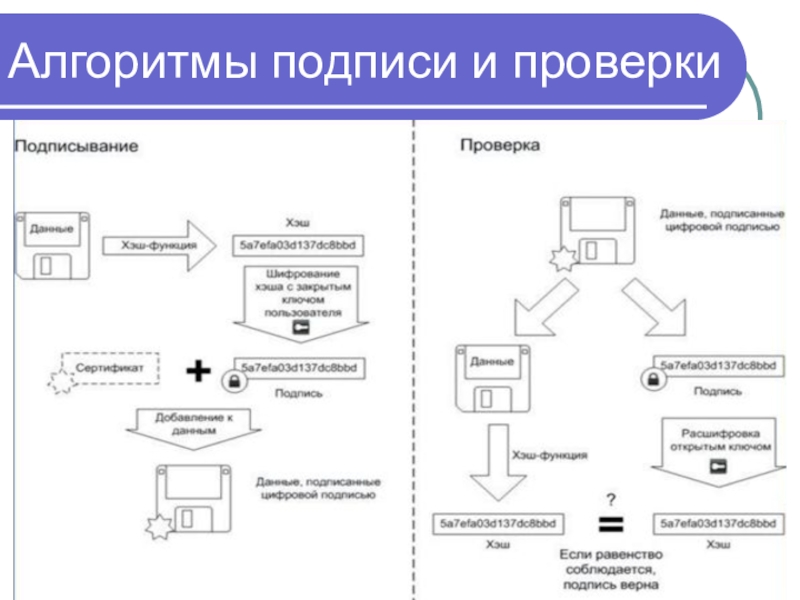 Алгоритм подписи. Рабочая группа проекта в презентации подпись.