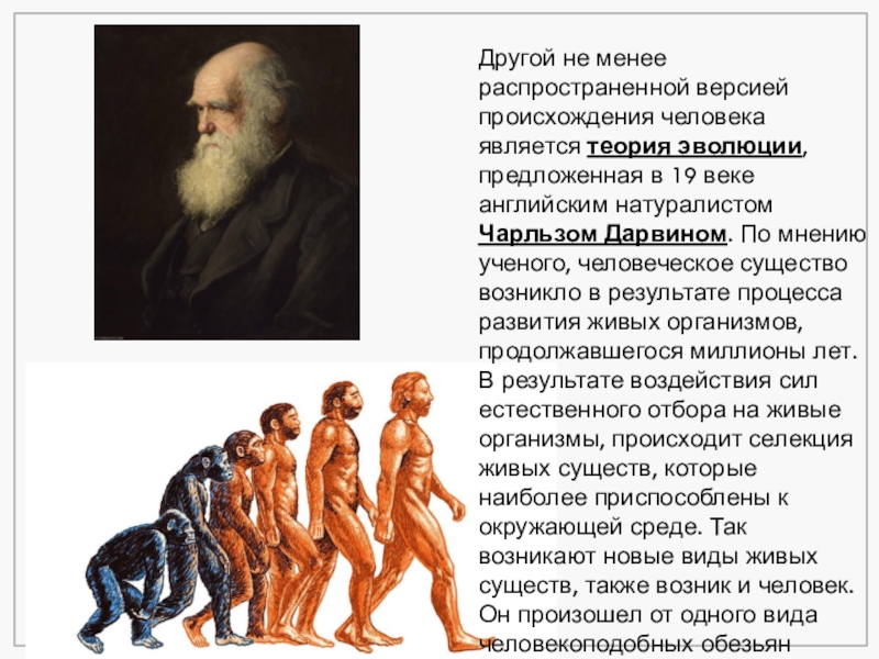 Как называли человека который являлся. Версии происхождения человека. Теория Чарльза Дарвина о происхождении человека. Происхождение человека философия.