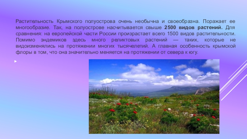 Растительность Крымского полуострова очень необычна и своеобразна. Поражает ее