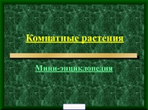 Комнатные растения